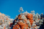 Snow in Zion