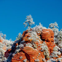 Snow in Zion