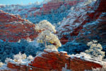 Snow in Zion
