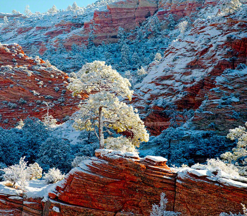 Snow in Zion