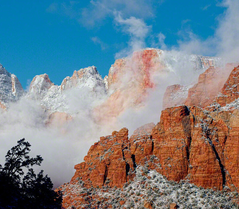 Snow in Zion