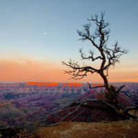 God Beams over the Grand Canyon