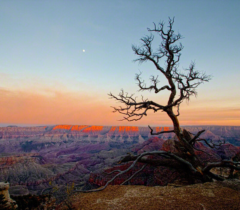 North Rim, Grand Canyon, at Sunset