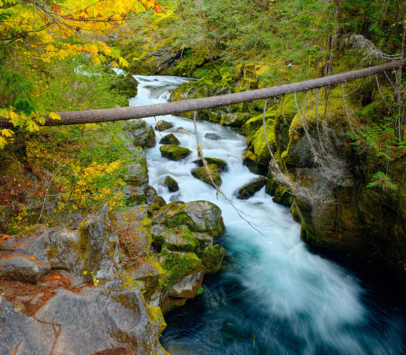 Fall Colors on the North Umpqua River, Oregon