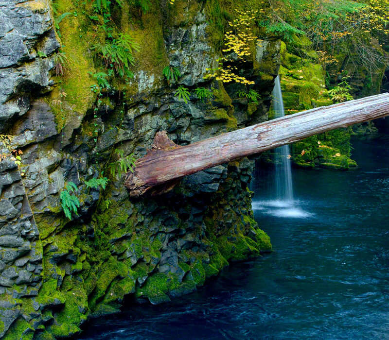 Waterfall on the N Umpqua River, Oregon