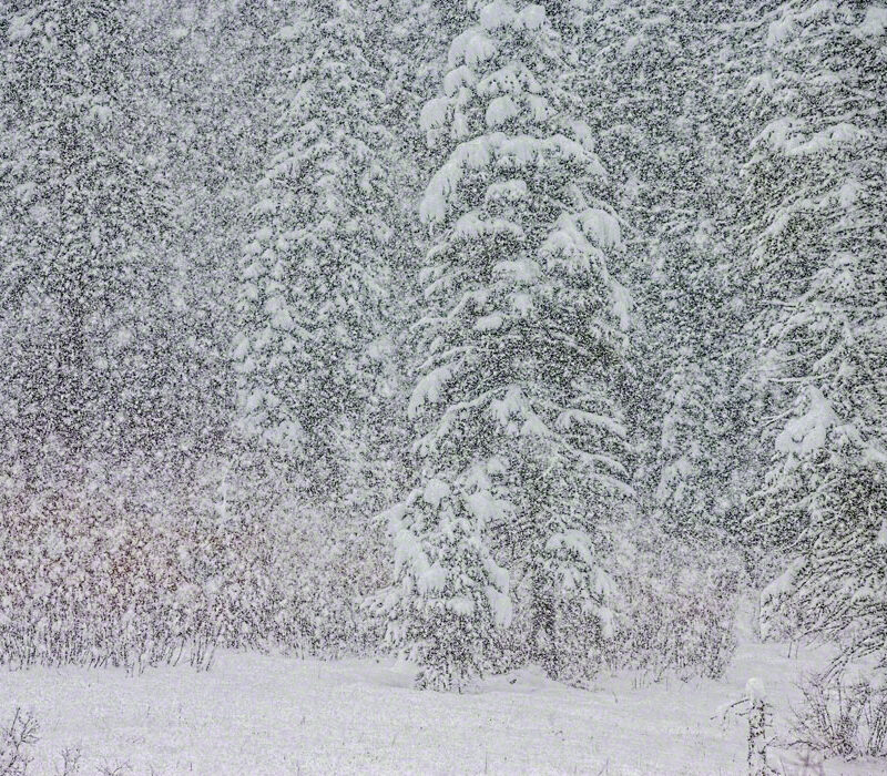 Snowing Heavily, Lake Tahoe, California