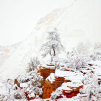 Snow in Zion National Park, Utah