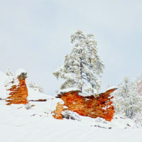 Snow in Zion National Park, Utah