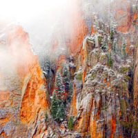 Clearing Snowstorm in Zion National Park, Utah