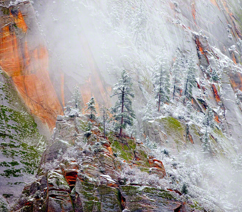Clearing Snowstorm in Zion National Park, Utah