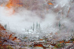 Snow in Zion