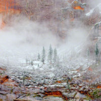 Snow in Zion