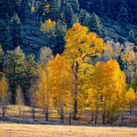 A Morning in the Fall, Colorado