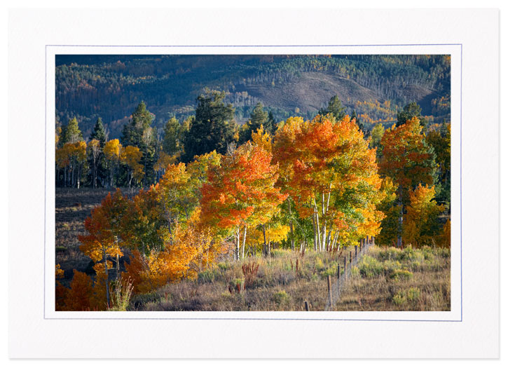 A Morning in the Fall, Colorado