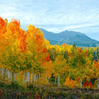 A Morning in the Fall, Colorado