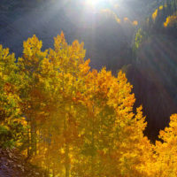 Autumn Glory, Mountain Village, Colorado