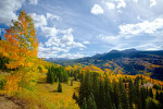 Fall Color, Colorado
