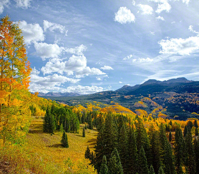 Fall Color, Colorado
