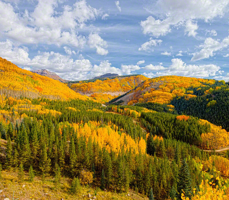 Mountains of Autumn Gold, Colorado