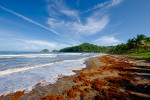 St David Bay, Commonwealth of Dominica