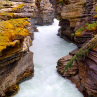 Maligne River, Jasper National Park, Canada