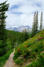 At Maligne Canyon, Jasper National Park