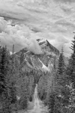 Near Moab Lake, Jasper National Park