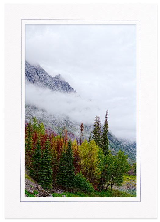 At Medicine Lake, Banff National Park