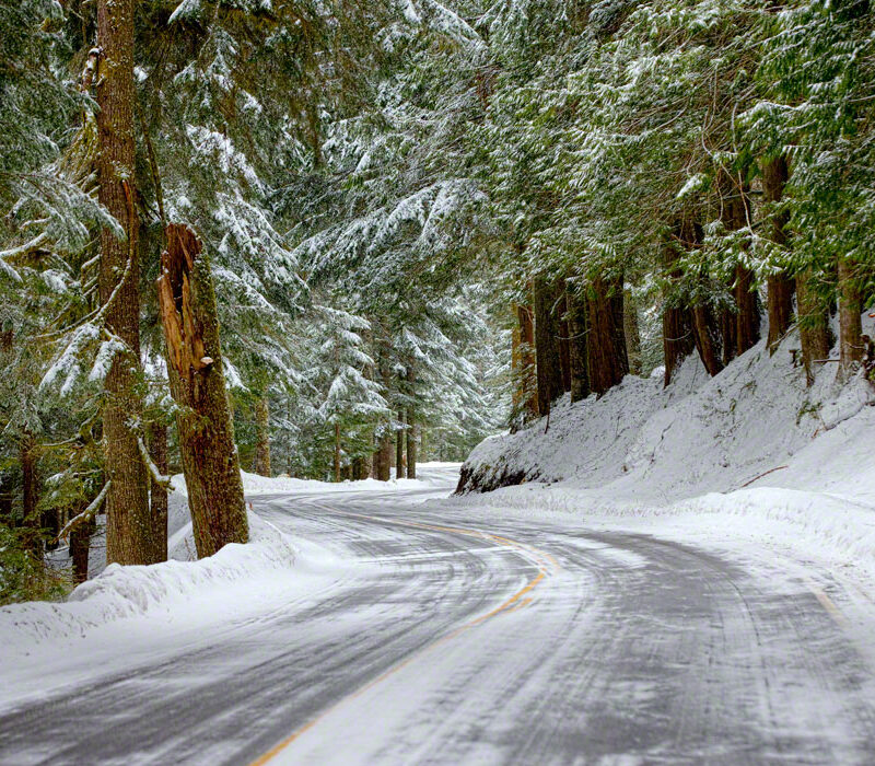 Snowy Drive Through Mt Rainier Natl Park, Washington