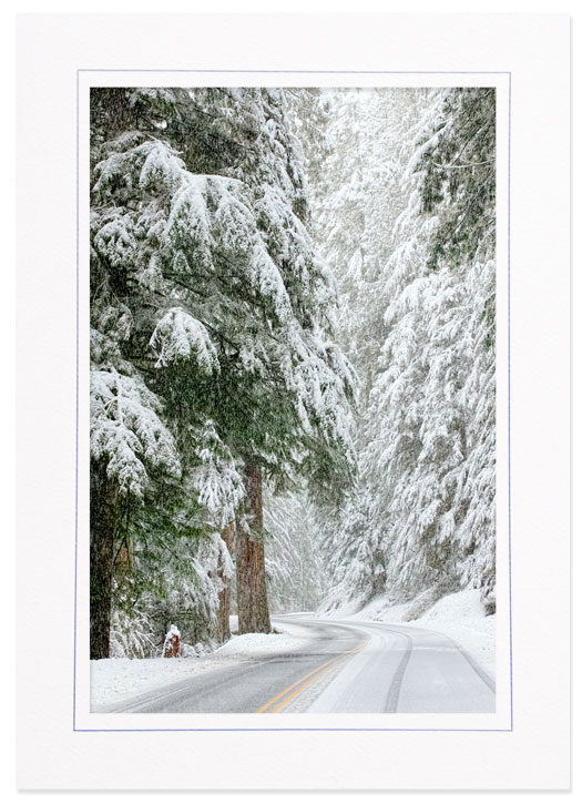 Snowy Drive Through Mt Rainier Natl Park, Washington