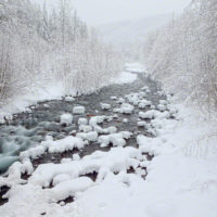 Copper Creek, Mt Rainier Natl Park, Washington