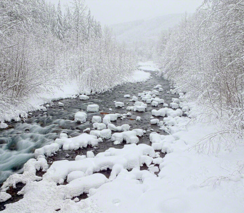 Glacier Creek, N Cascades Natl Park, Washington