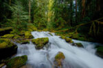 Copper Creek, Mount Rainier Natl Park
2017_02_11-0487
N 46 45.5420 W 121 57.7766