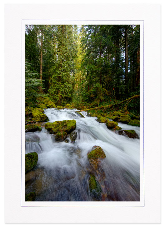 Copper Creek, Mt Rainier Natl Park, Washington