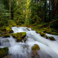 Glacier Creek, N Cascades Natl Park, Washington