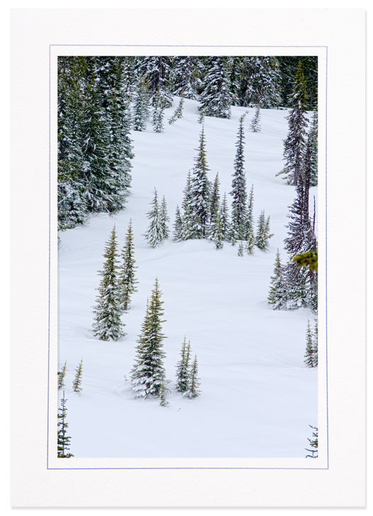 Winter @ Paradise, Mt Rainier, Washington