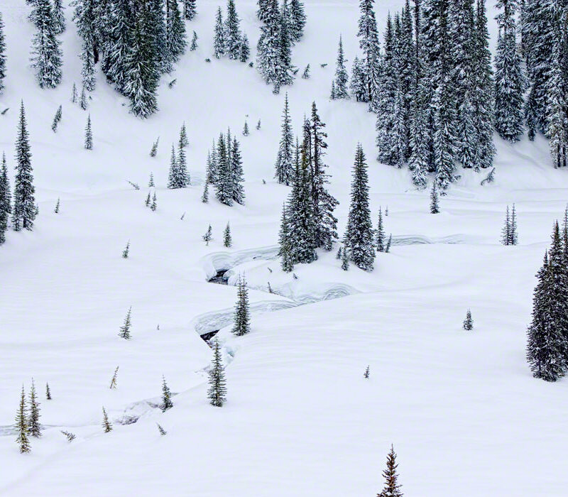 Winter @ Paradise, Mt Rainier, Washington
