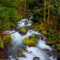 Copper Creek, Mt Rainier Natl Park, Washington
