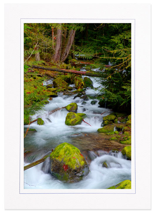 Copper Creek, Mt Rainier Natl Park, Washington