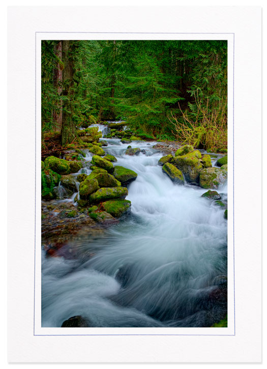 Copper Creek, Mt Rainier Natl Park, Washington