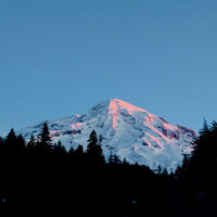 Skiing Skate Creek Rd., Mt Rainier, Washington