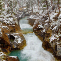 Snowing on Beauty Creek, Jasper Natl Park, Canada