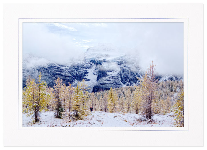 Snow and Fall Color in Larch Valley, Banff Natl Park, Canada