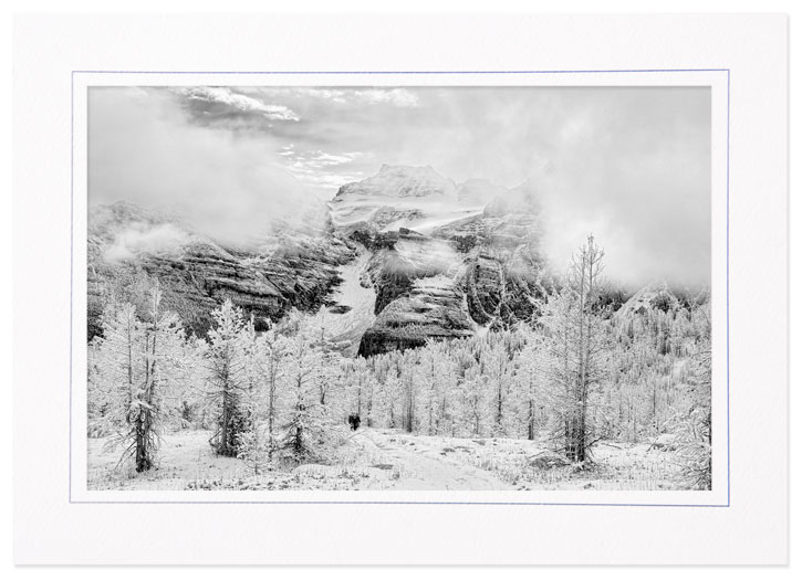 Autumn Snow in Larch Valley, Banff Natl Park, Canada (B&W)