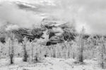 Autumn Snow in Larch Valley, Banff Natl Park, Canada (B&W)