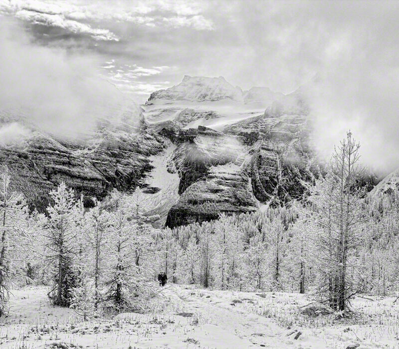 Autumn Snow in Larch Valley, Banff Natl Park, Canada (B&W)