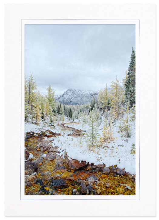 Snow and Fall Color in Larch Valley, Banff National Park, Canada Snow and Fall Color in Larch Valley, Banff Natl Park, Canada