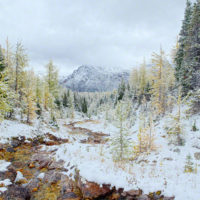 Snow and Fall Color in Larch Valley, Banff Natl Park, Canada