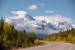 Fall Color at Saskatchewan Junction, Banff Natl Park, Canada