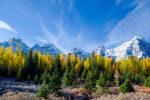 Fall Color in Larch Valley, Banff Natl Park, Canada